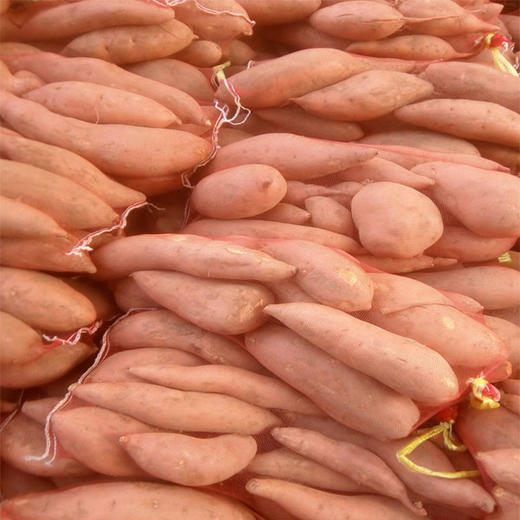 【9.5元/袋】大袋龙薯九（1501887） 商品图0