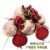 【农家自产！五斤装红菜头紫菜头】新鲜甜菜根5斤装红菜头紫菜头蔬菜农产品多省包邮红甜菜疏菜新鲜采摘，清新可口-觅食坊健康 商品缩略图2