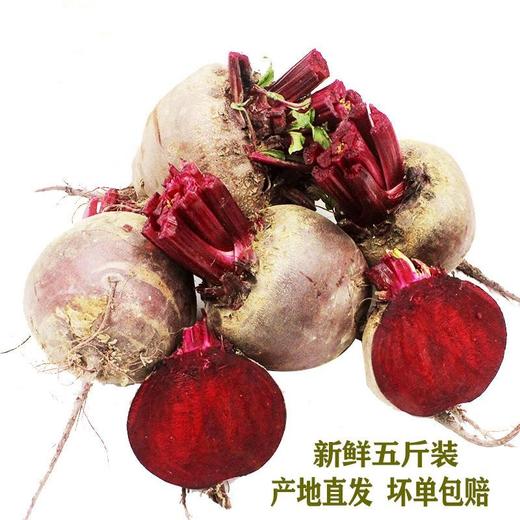 【农家自产！五斤装红菜头紫菜头】新鲜甜菜根5斤装红菜头紫菜头蔬菜农产品多省包邮红甜菜疏菜新鲜采摘，清新可口-觅食坊健康 商品图2