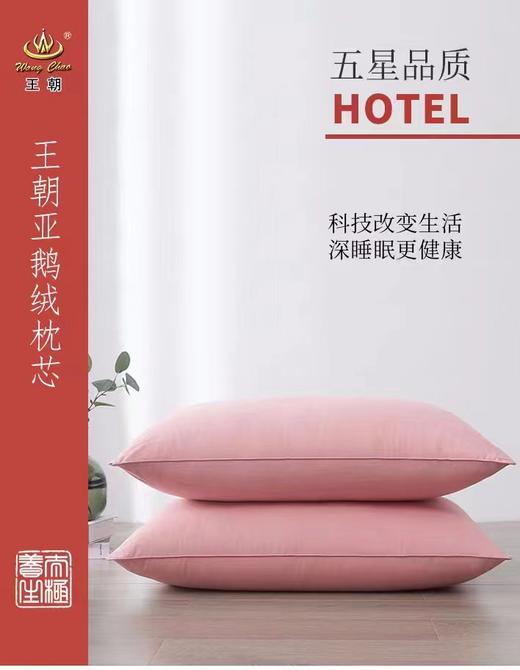 王朝羽亚鹅绒枕芯 商品图2