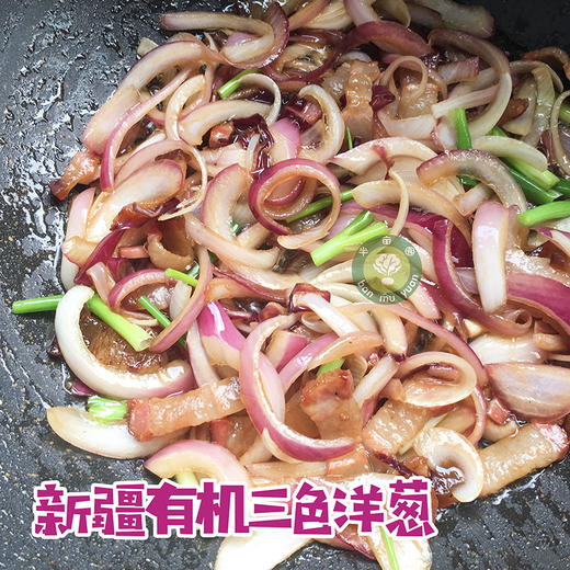 新疆有机三色洋葱 净重2.5KG ,紫 / 黄 / 白皮精品混装 商品图3