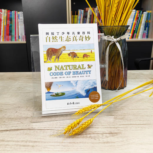 阿拉丁少年儿童百科：自然生态真奇妙  商品图4