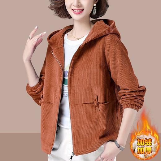 DD-女士短外套韩版宽松2023年春秋新款大码显瘦夹克休闲百搭卫衣女潮 商品图7