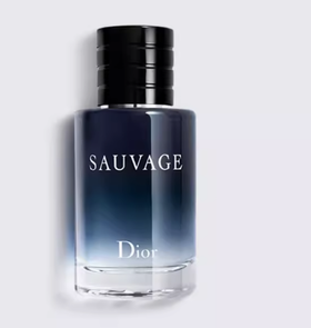 迪奥Dior 旷野男士淡香水100ml