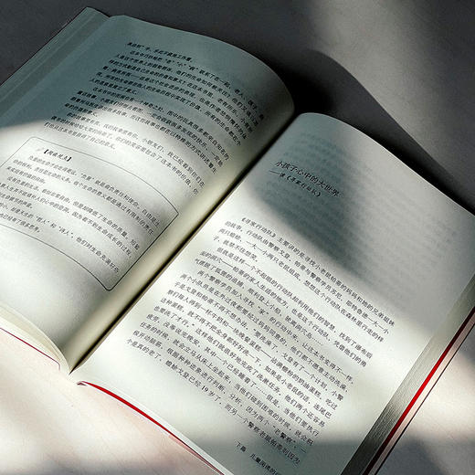 儿童阅读的力量 大夏书系 阅读教育 儿童阅读辅导 李怀源 商品图10