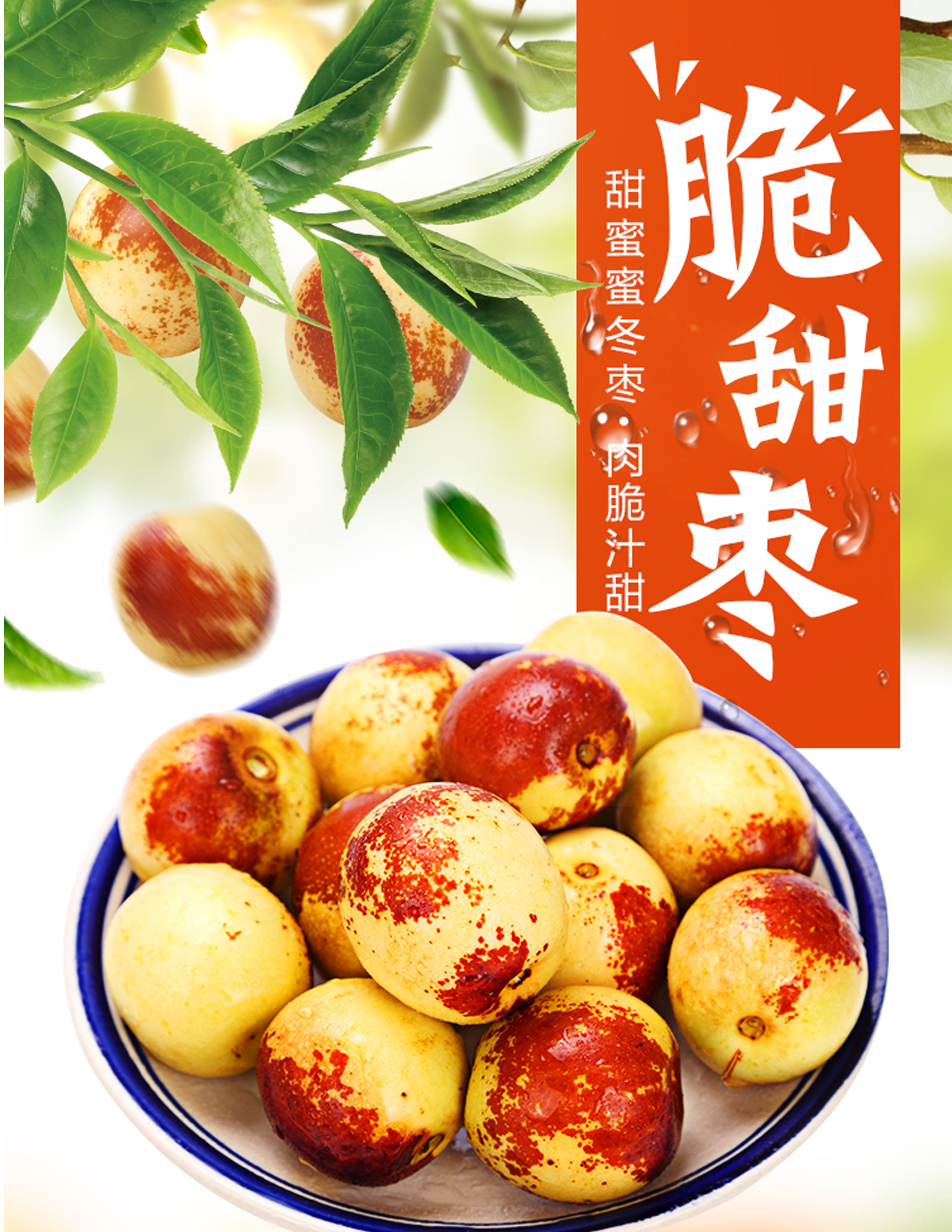 【庙上冰糖冬枣】肉脆汁甜 口口甜蜜·自然成熟 不打药不催熟 现摘现