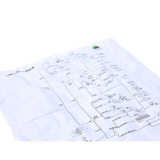 陆生生物图鉴/水生生物图鉴画布 商品图4