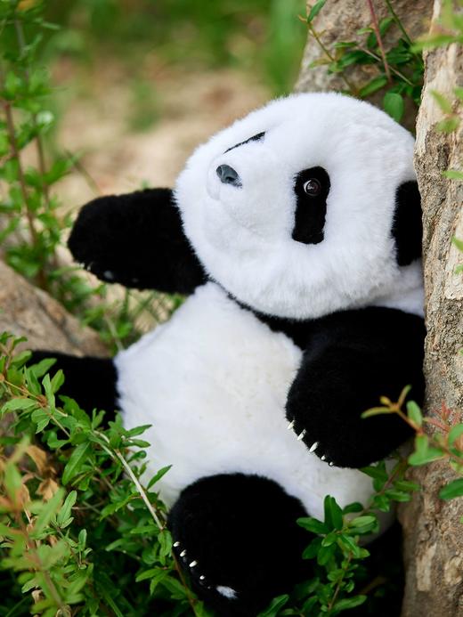 熊猫崽崽公仔 商品图2