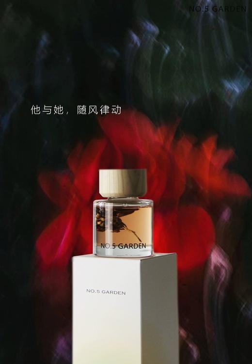 NO.5GARDEN干花无火香薰 商品图3
