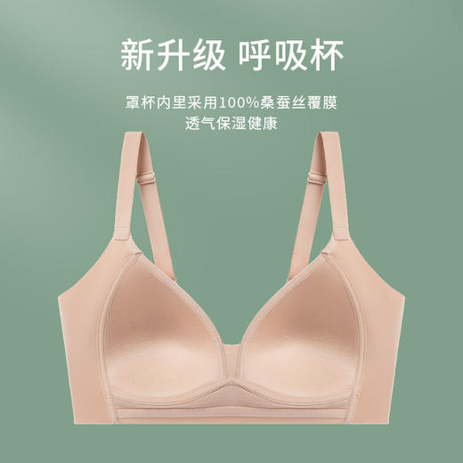 TG-TG02S202秋冬真丝光面无钢圈文胸薄款微收副乳大胸显小桑蚕丝内衣 商品图1