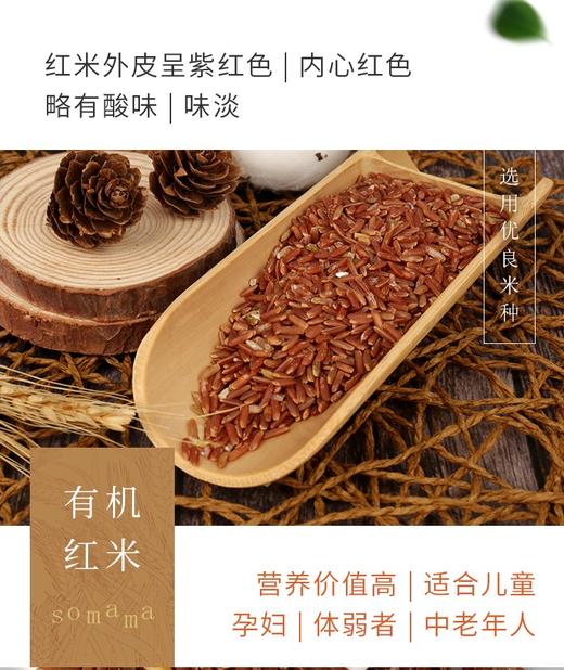 有机红米500g 商品图3