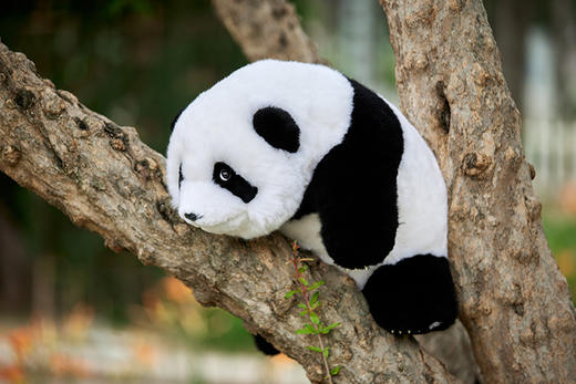 熊猫崽崽公仔 商品图11