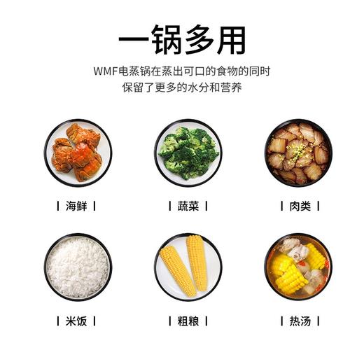 WMF智巧电蒸炉 不锈钢双层电锅 商品图7