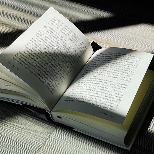 莫扎特的女人 他的家庭、朋友和音乐 独角兽文库 精装 莫扎特传记 经典文学 商品图9