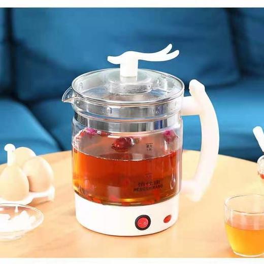 生壶多功能烧水壶煮茶煎药壶煮面煮鸡蛋 商品图1