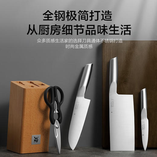 WMF 刀具5件套Classical 商品图0