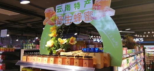 云南丽江永胜中华蜂土蜂蜜系列产品窝蜜/巢蜜/雪蜂/土蜂蜜多种规格 商品图3