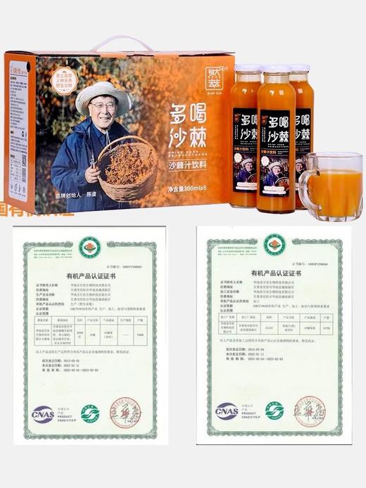 然萃多喝沙棘汁VC饮料西北甘肃庆阳特产小果沙棘300ml*8瓶 商品图8