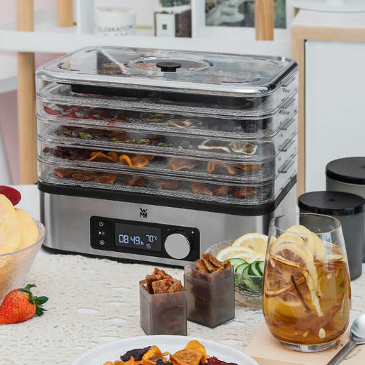 WMF干果机 烘焙机食品电烘干机 小型水果食物风干 商品图2