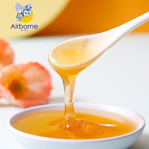 【艾尔邦尼】儿童蜂蜜新西兰原装进口500g 商品图1