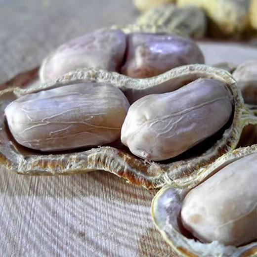 【当月新花生！好吃不上火】龙岩花生特产香酥蒜香五香水煮晒干咸干熟花生米休闲坚果炒货零食-觅食坊健康 商品图1