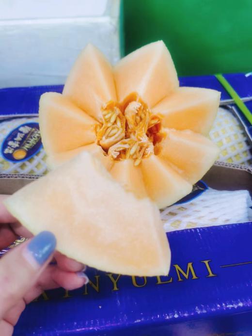 馨月蜜瓜一个 商品图1