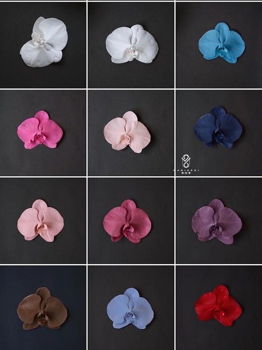 可利美色彩大师优质鲜花喷漆【450ML/快递发货】3瓶起发 商品图4