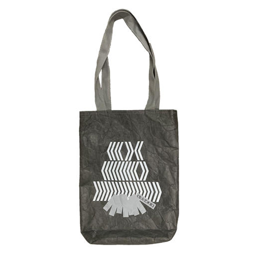 生火艺术家进口杜邦纸袋·尺寸 商品图0