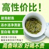 【浓香型茶叶！高山云雾绿茶】毛尖茶叶新茶散装绿茶高山云雾绿茶-觅食坊健康 商品缩略图2