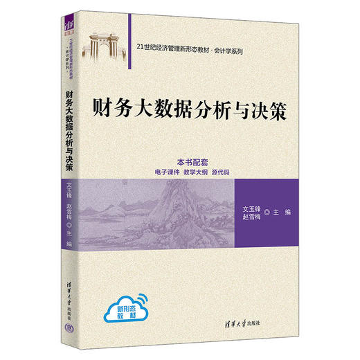 财务大数据分析与决策（21世纪经济管理新形态教材·会计学系列） 商品图0