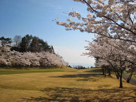 日本大阪Benny乡村俱乐部   Benny Country Club  | 日本高尔夫球场 俱乐部 | 亚洲高尔夫 商品图5