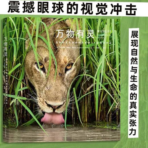 万物有灵:国际野生生物摄影年赛第54届获奖作品 商品图0