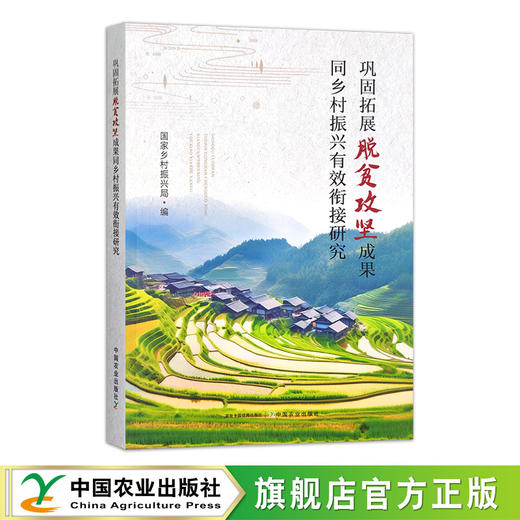 巩固拓展脱贫攻坚成果同乡村振兴有效衔接研究【可开发票，下单时留开票信息及电子邮箱】 商品图0