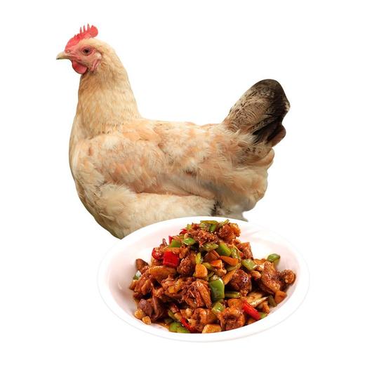 【农家散养！超值土鸡2只装】三黄鸡笨鸡走地鸡约700g整只冷冻生鲜鸡肉-觅食坊健康 商品图4