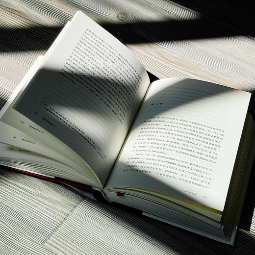 莫扎特的女人 他的家庭、朋友和音乐 独角兽文库 精装 莫扎特传记 经典文学 商品图10