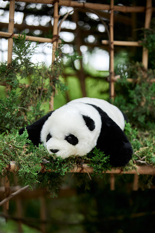 熊猫崽崽公仔 商品图9