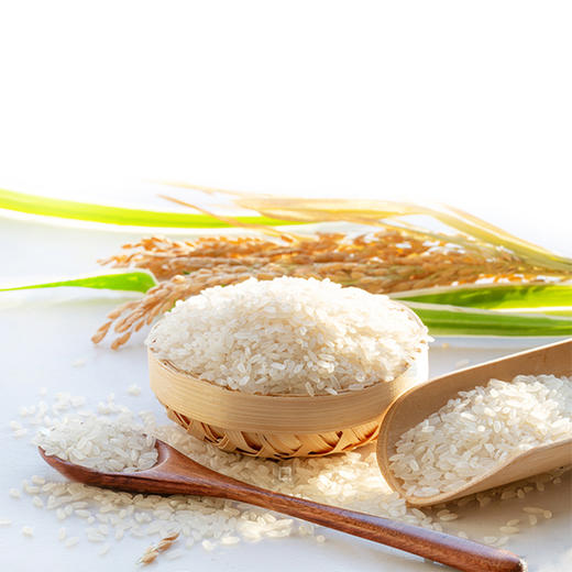 岩渔村米5kg 商品图1