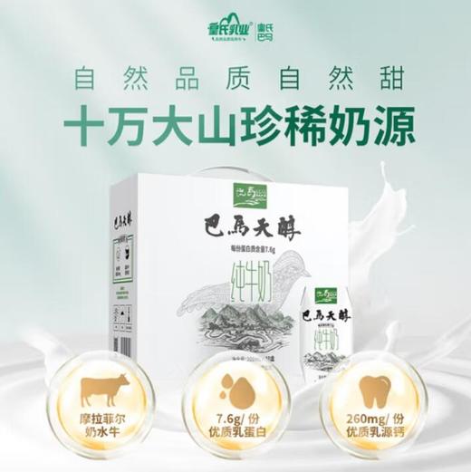 【巴马天醇】纯牛奶 健康奶源 营养担当 200ml*10盒 商品图1