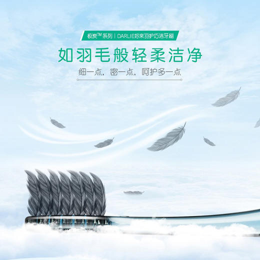 【品牌直发】好来（原黑人）羽护巧洁牙刷两支装 细毛牙刷 呵护牙龈小巧刷头-批发 商品图3