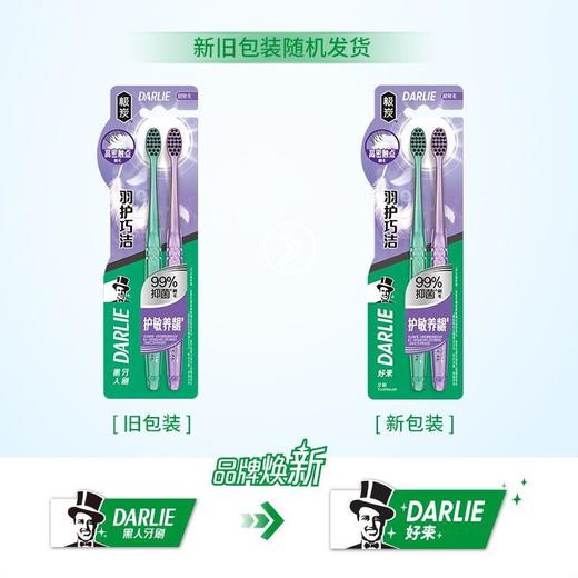 【品牌直发】好来（原黑人）羽护巧洁牙刷两支装 细毛牙刷 呵护牙龈小巧刷头-批发 商品图1