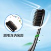 【品牌直发】【2支】好来（原黑人）牙刷T27单支装*2炭丝深洁细丝软毛单支装-批发 商品缩略图3