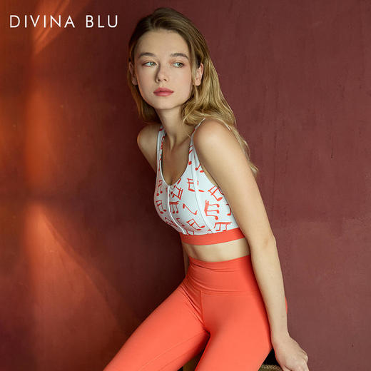 DIVINABLU维也纳系列迪唯纳乐章文胸42 商品图3