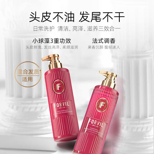 法国FORVIL温莎森林黑松露洗护系列，日常洗护，修护受损，蓬松控油，多方案选择 商品图11