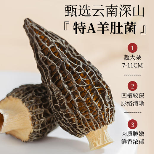 【礼盒】神农金康 黄花鱼胶鲍鱼元贝六拼组合470g 新中式滋补礼 原生态真滋补 喝护家人健康 商品图5