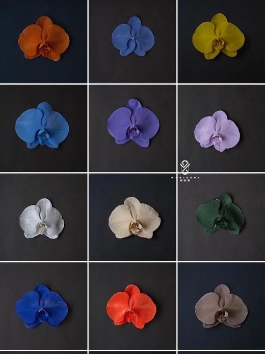 可利美色彩大师优质鲜花喷漆【450ML/快递发货】3瓶起发 商品图3