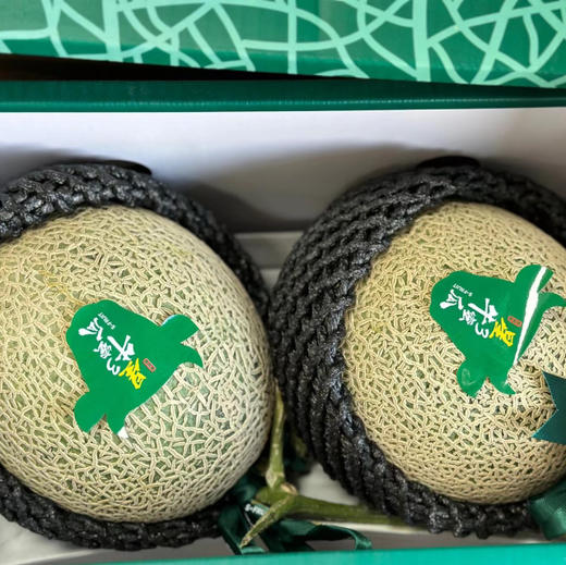 【牛3网纹瓜】星鲜园 牛3网纹瓜，甜度高的软瓤瓜，越软越好吃，水分越足！ 商品图3