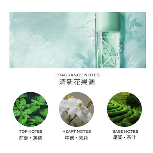 伊丽莎白雅顿·绿茶香水身体霜乳套装·身体乳250ml+绿茶香水50ml 送袋子 商品图8