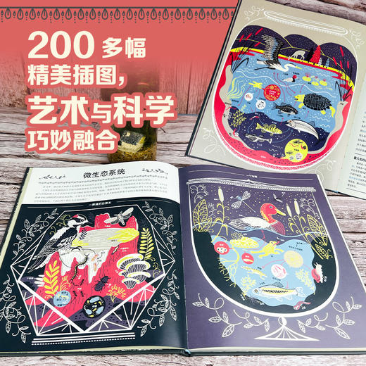 地球生命笔记:生态系统的奥秘 商品图4