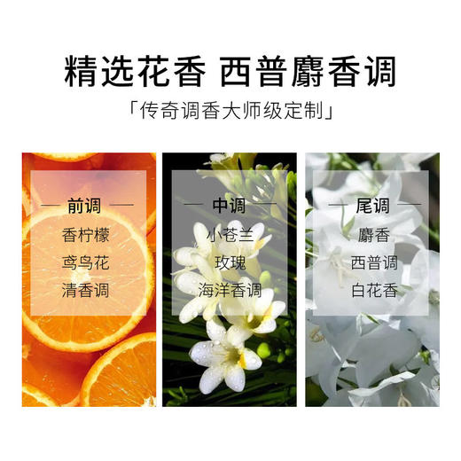 卡诗黑钻钥源/元气姜洗发露柔顺护发修护留香滋润洗发水250ml 商品图4