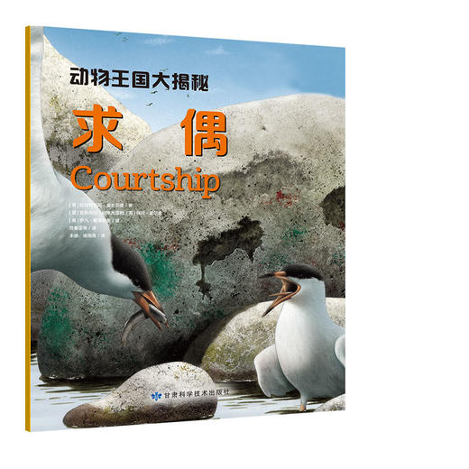 阿拉丁少年儿童大百科：动物王国大揭秘（全4册） 商品图2